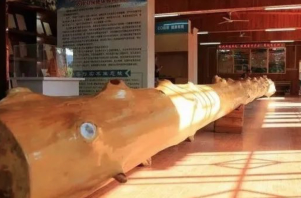 融安县被命名评审为“中国香杉板材之乡”